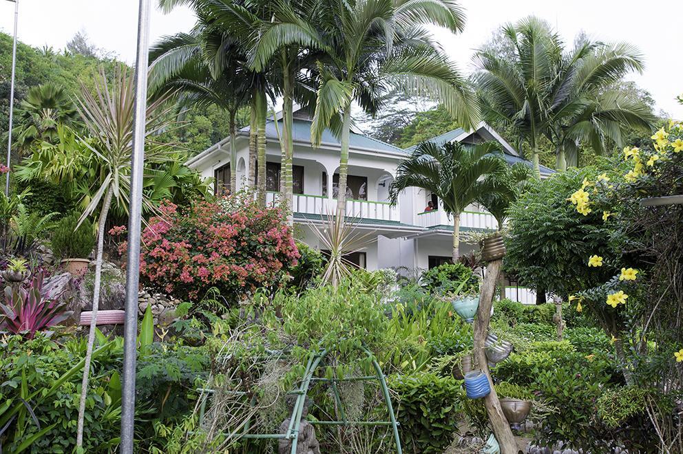 Evergreen Apartments Anse Royale Exterior photo